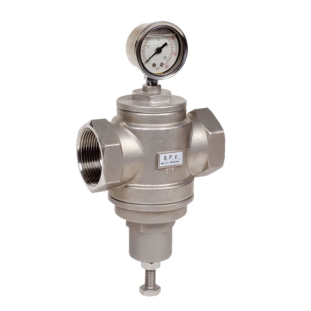 Déverseur BPV Elite Inox 2480/2490