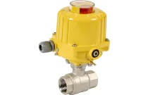 715 XS - Robinet boisseau 2 pièces inox avec moteur électrique SA/NA