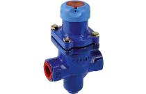 BDV 25 - Réducteur de pression fonte vapeur